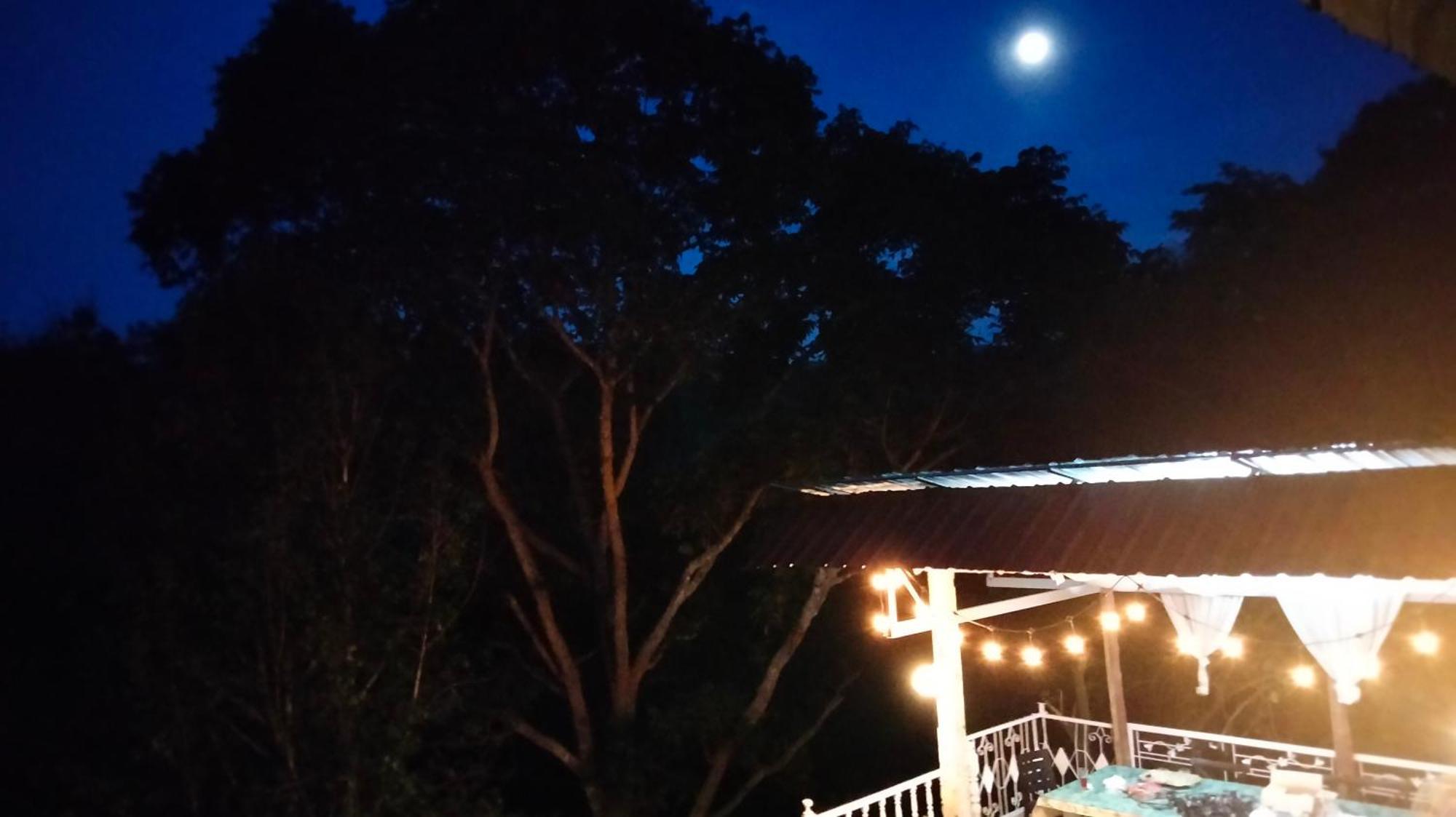 Balmy Hideout Cafe & Homestay Ban Huai Kaeo Eksteriør bilde