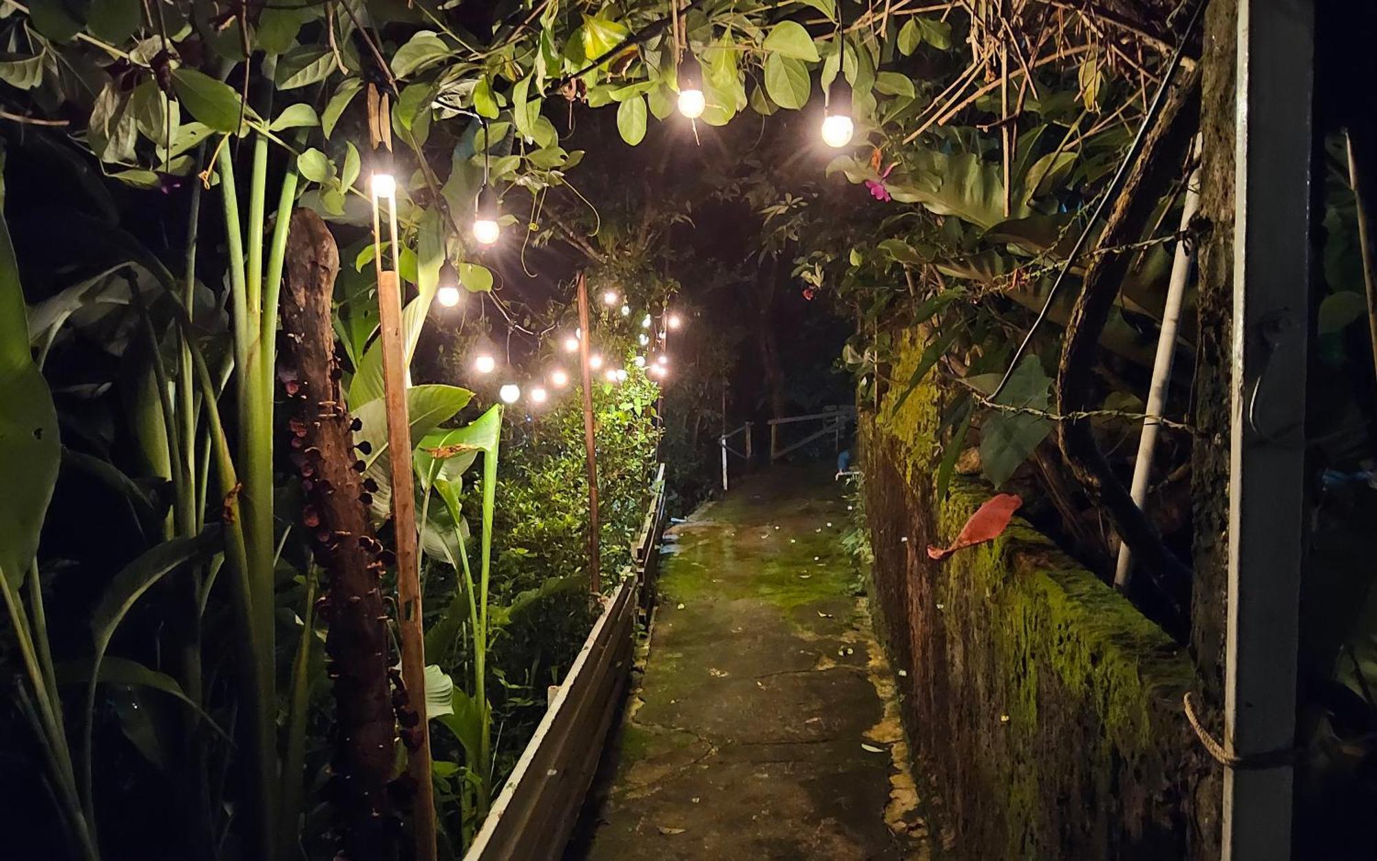 Balmy Hideout Cafe & Homestay Ban Huai Kaeo Eksteriør bilde