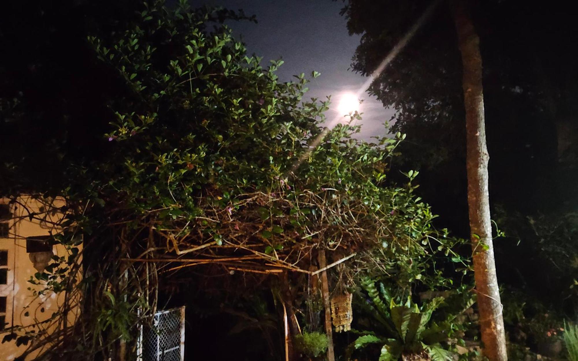 Balmy Hideout Cafe & Homestay Ban Huai Kaeo Eksteriør bilde