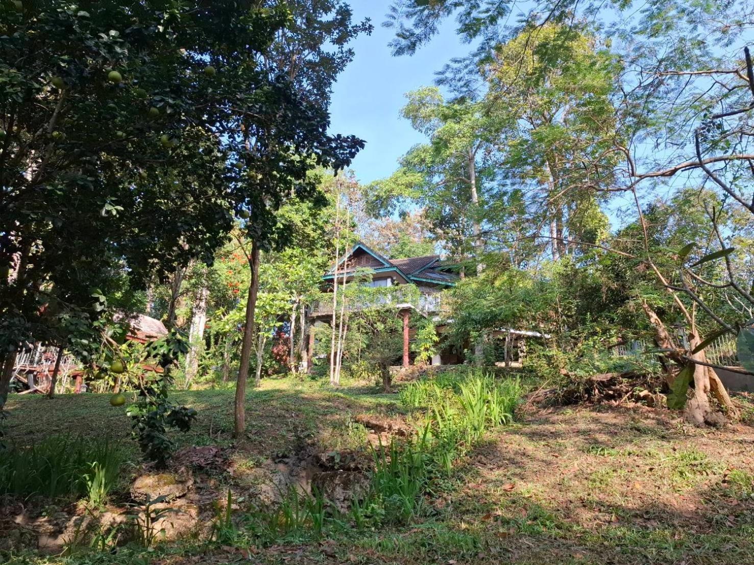 Balmy Hideout Cafe & Homestay Ban Huai Kaeo Eksteriør bilde